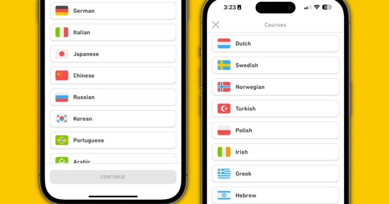 How to change your language on Duolingo