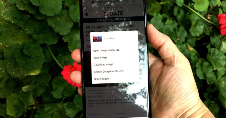 How to Perform a Reverse Image Search on Android or iPhone