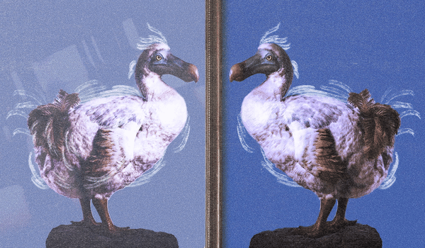 What Meta’s AI powered ad tools mean for creative agencies