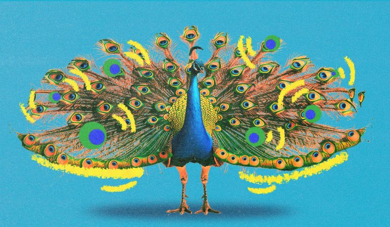 Smaller networks vs. Amazon, Walmart