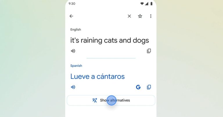Google Translate can finally decode "raining cats and dogs"