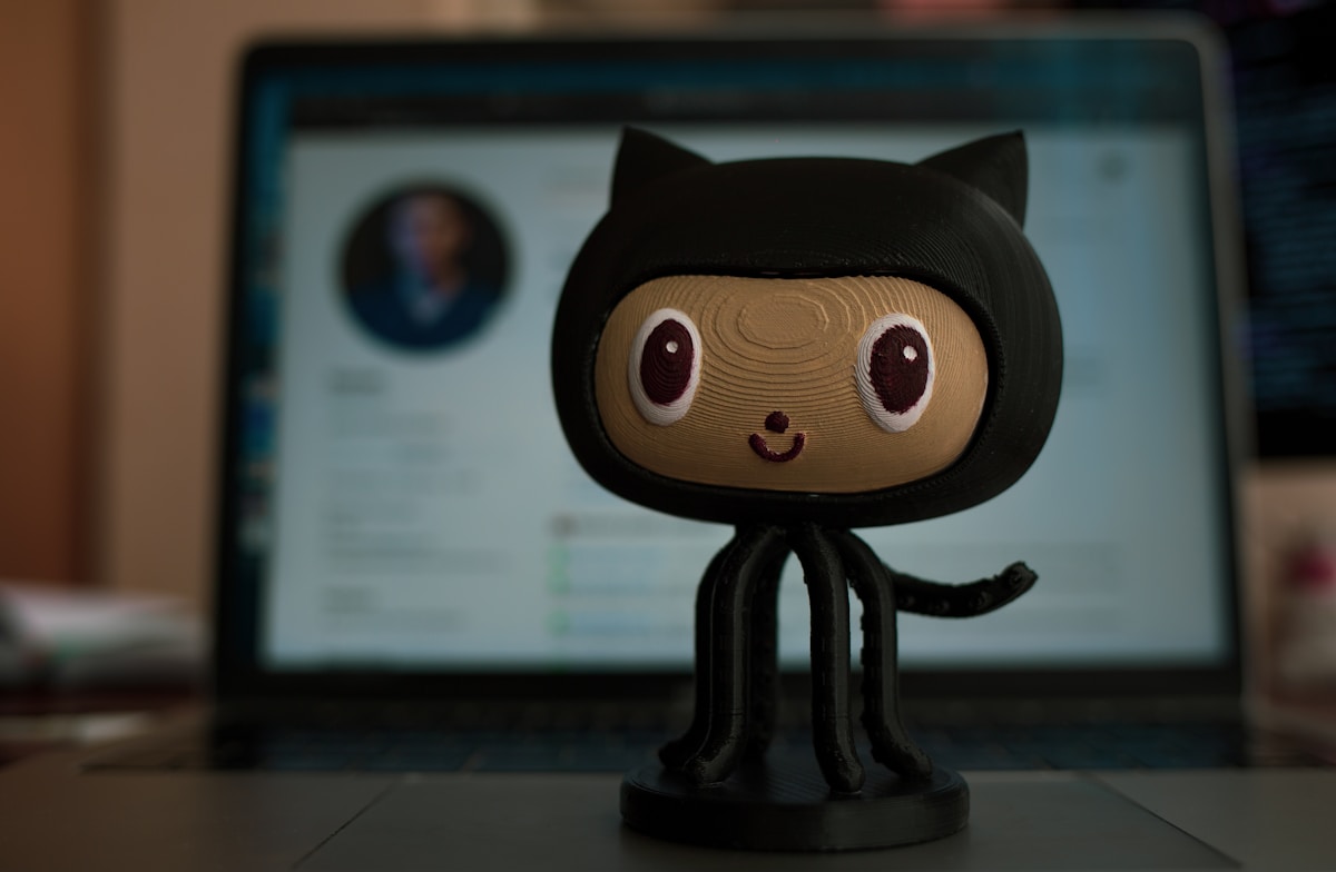 Software developer working on open source project