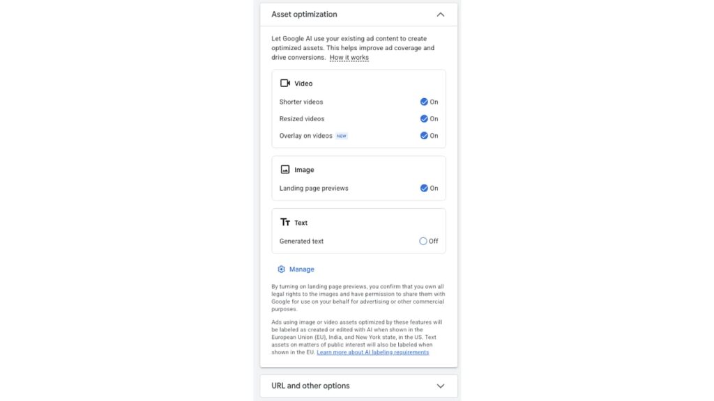 Overlay on videos setting inside Google Ads Demand Gen