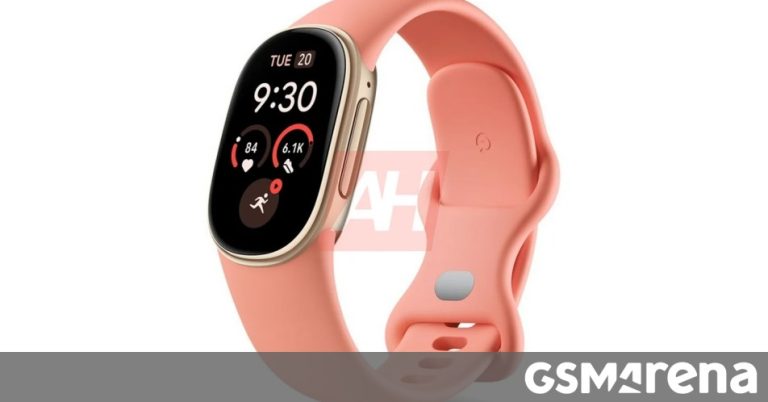 Google Fitbit Edge fitness tracker leak