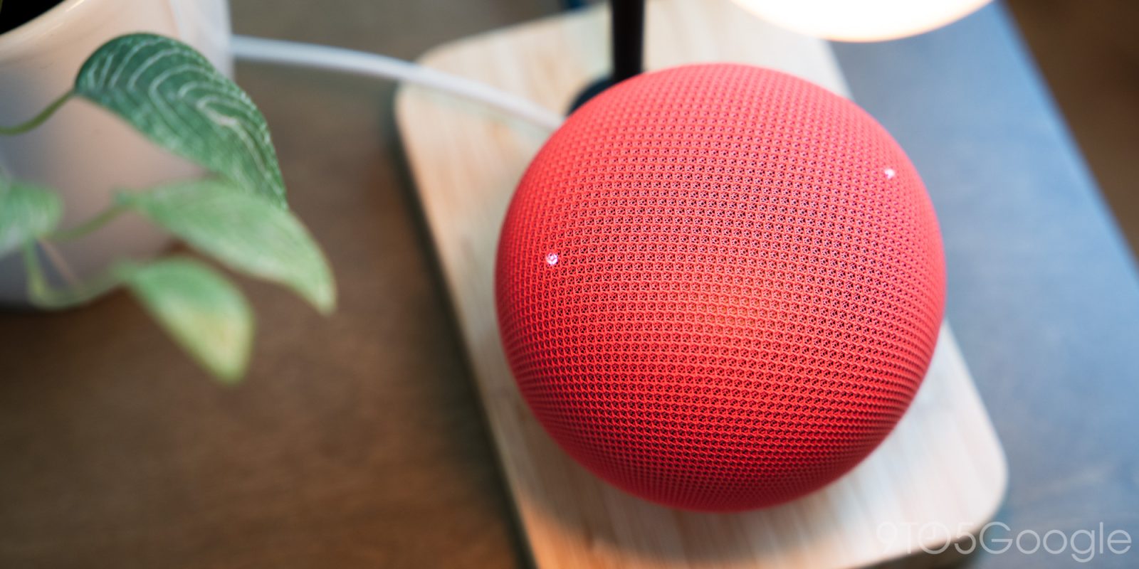 Google Home Speaker Downloading Hundreds of GB in Background